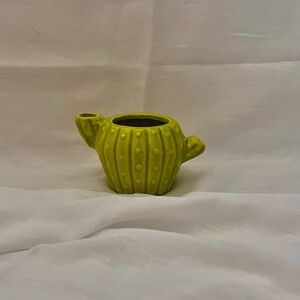 Mini cactus decor 🌵